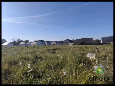 vente terrain à saint-didier (35220) : à vendre / 363m² saint-didier