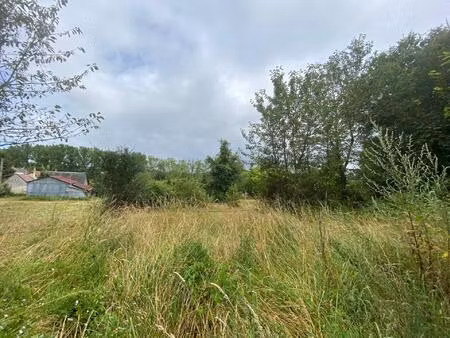 terrain constructible