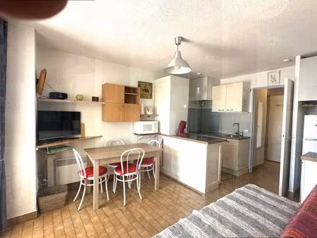 le grau du roi : grand t2 cabine avec loggia  terrasse et garage