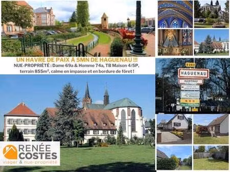 vente en nue propriété - f69-h74 ans - haguenau (67500)