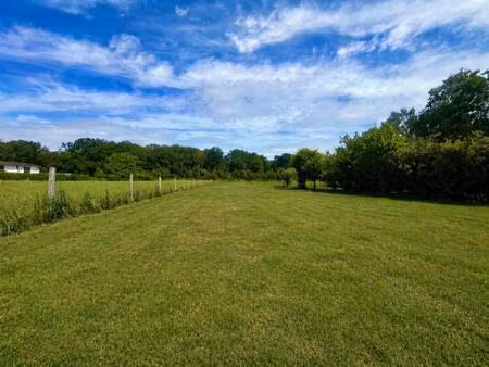 terrain constructible