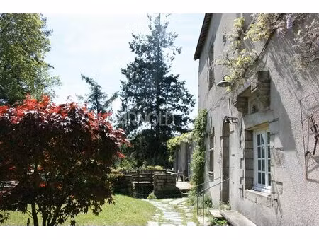 manoir de caractère au coeur de rochefort -en -terre