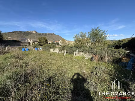 maison de ville avec cave et jardin