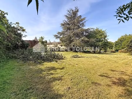 terrain