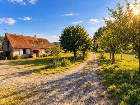 vente maison 2 pièces 52 m² à ladignac-le-long (87500)  93 000 €