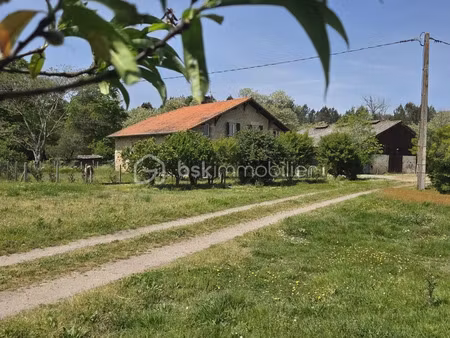 annonce vente maison 7 pièces de 170m2 à souprosse (40250) - paruvendu.fr ref 992785995579