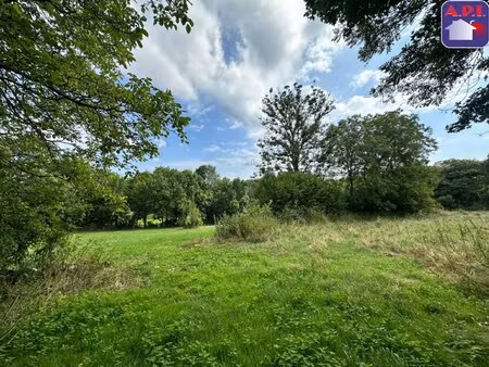 terrain constructible