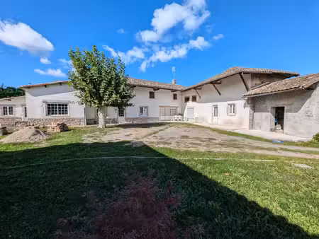 à vendre proche mâcon ( ain)  maison rénovée de 220 m2 p7 - joli terrain - gîte possible