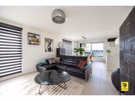 appartement: 3 slk   t en p