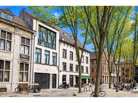 opbrengsteigendom in het historisch centrum