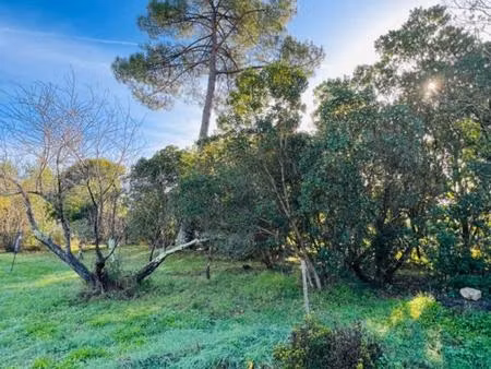 terrain cazaux 1000 m2