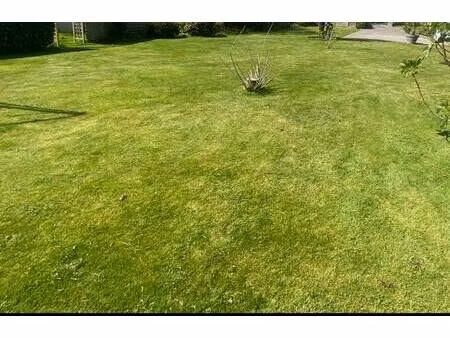 vente terrain 800 m² guipavas (29490)