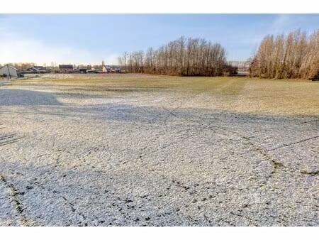 grond te koop in wilsele