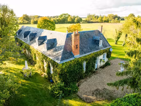 propriété avec parc de plus de 5 hectares courcelles de touraine