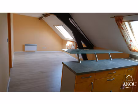 appartement 3 pieces 42 m² centre ville