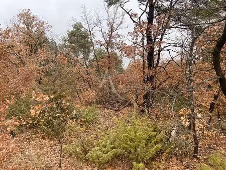 vente terrain  37641.00m²  roumoules