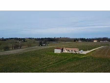 charmante maison au milieu des vignes