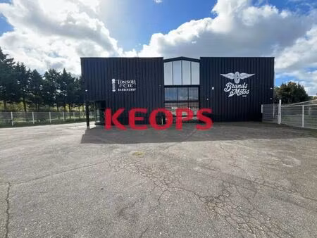 location local d’activités toulouse 31400 1130m²