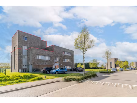 appartement te koop in rijkevorsel met 3 slaapkamers