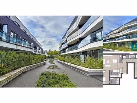 appartement à louer à chaussée saint-pierre 373 etterbeek (vbe13743)