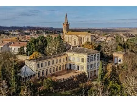 prestigieux château en vente toulouse  france