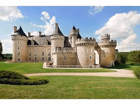 achat maison 33 pièces 1 750m² argenton sur creuse 36200