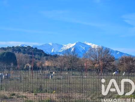 vente terrain à estagel (66310) : à vendre / 518m² estagel