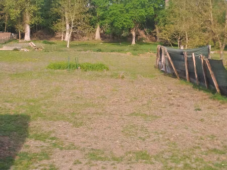terrain à batir à st pierre les nemours 