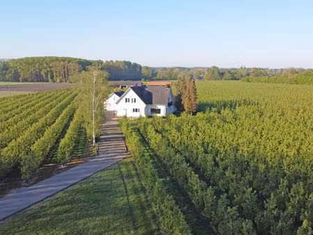 huis te koop in hasselt met 4 slaapkamers