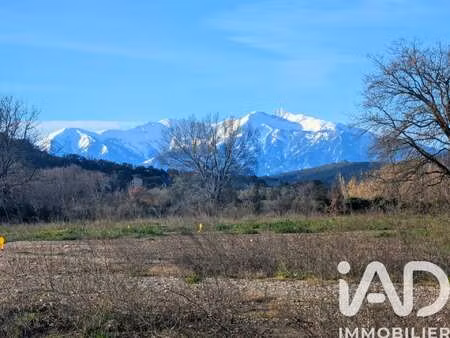 vente terrain à estagel (66310) : à vendre / 893m² estagel