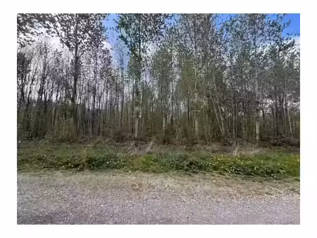 terrain à vendre à chemin des faisans ham-sur-heure (vbe13806)