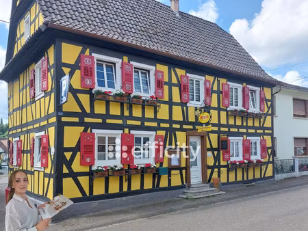 local commercial 10 pièces - 233 m²