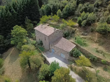 demeure prestigieuse du xiv siècle au coeur de la belle vallée de l'eyrieux en ardèche   .