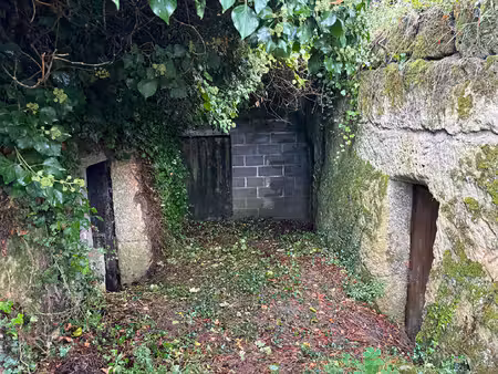 cave chinon -