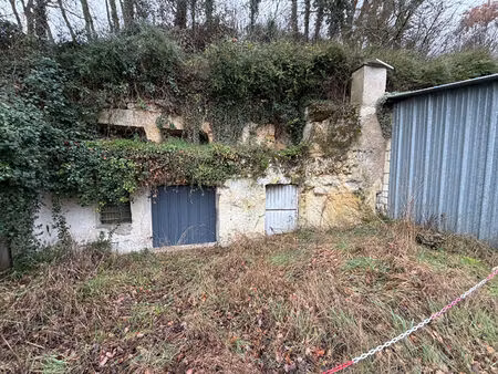 terrain boisé avec caves et une dépendance.