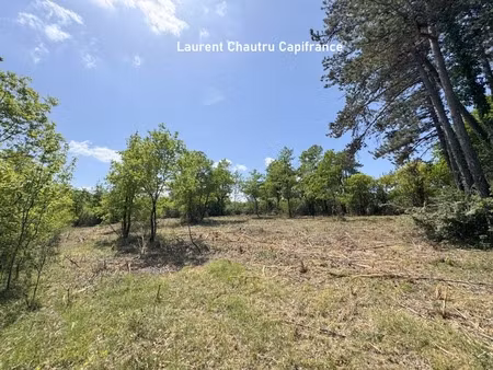 terrain à bâtir 2400m² - bassillac et auberoche (24)