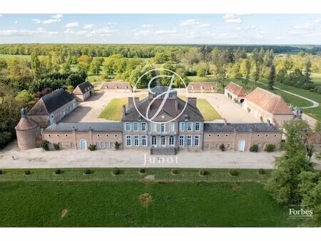 moulins- allier- château monument historique et ses annexes sur un par de 15ha à vendre