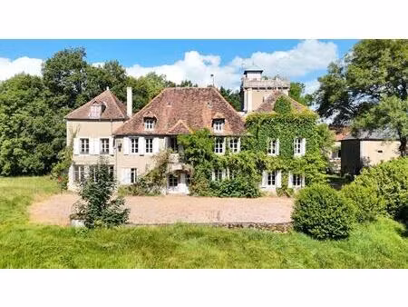 vente maison 18 pièces 515 m² laizy (71190)