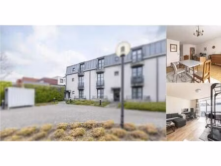 immeuble de rapport à vendre à jan sonnevillestraat 93-95-97 zwijnaarde (vbe14099)