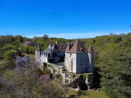 château à vendre à châtellerault