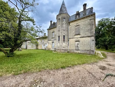 vente maison 27 pièces 690 m² à saint-denis-de-pile (33910)  987 000 €