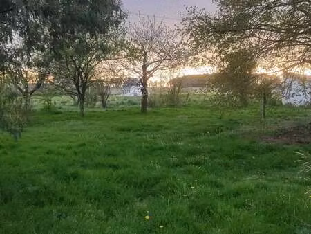 location terrain à forges de lanouée (56120) : à louer / forges de lanouée