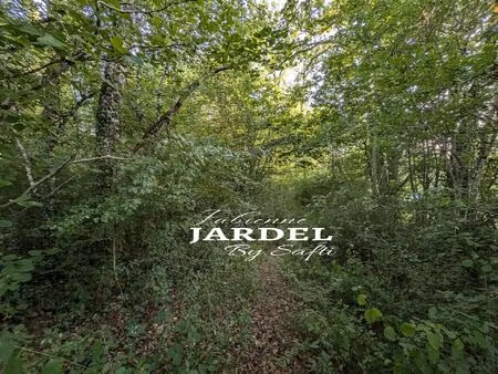 vente terrain 2190 m² saint-martial-de-nabirat (24250)