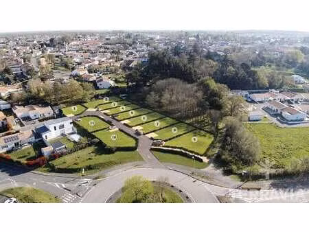 vente terrain à aizenay (85190) : à vendre / 319m² aizenay