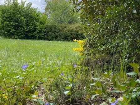 rare sene terrain constructible viabilisé proche du bourg 600m2