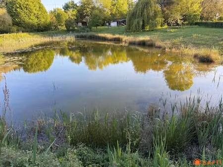 vente terrain au lion-d'angers (49220) : à vendre / 7248m² le lion-d'angers