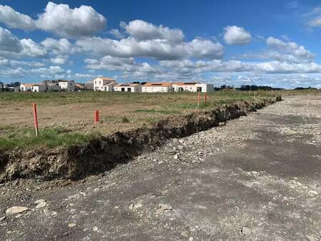 vente terrain à givrand (85800) : à vendre / 331m² givrand