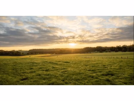 vente terrain à saint-gildas-des-bois (44530) : à vendre / saint-gildas-des-bois