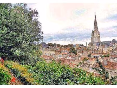 vente terrain à sainte-hermine (85210) : à vendre / sainte-hermine