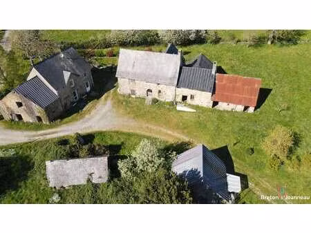 vente maison à martigné-sur-mayenne (53470) : à vendre / 94m² martigné-sur-mayenne